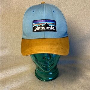 Patagonia Blue and Tan Cap